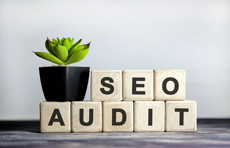Few SEO Site Audit in Ottawa